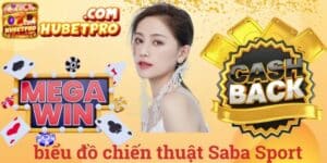biểu đồ chiến thuật Saba Sport